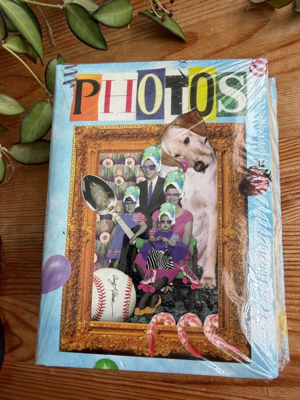 Vintage 90s Photo Album